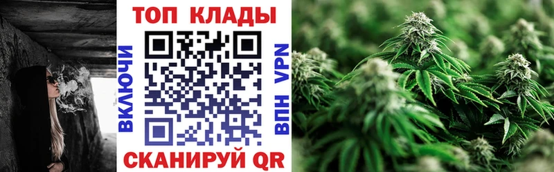 Купить закладку Александровское Alpha-PVP  Мефедрон  Гашиш  МДМА  гидра ONION  Бошки Шишки  Кокаин 