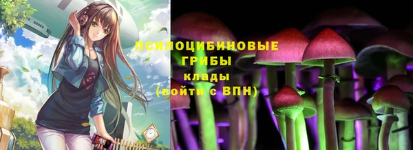 синтетический гашиш Богородск