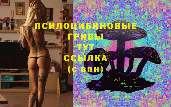 синтетический гашиш Богородск