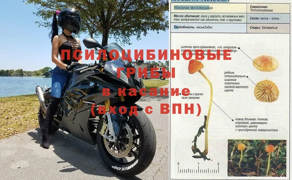 синтетический гашиш Богородск