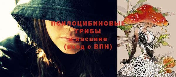 кокаин Богданович